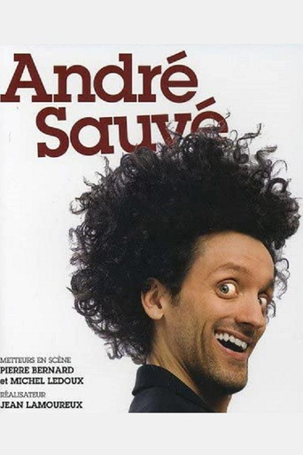 Movie poster for André Sauvé (2011)