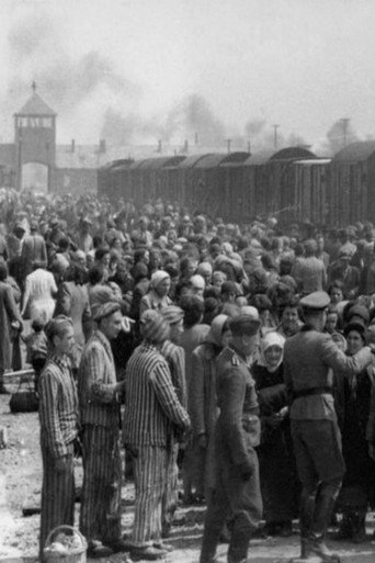 Movie poster for Dr Münch - läkare i Auschwitz (1982)