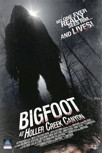 Movie poster for Bigfoot at Holler Creek Canyon (2006)