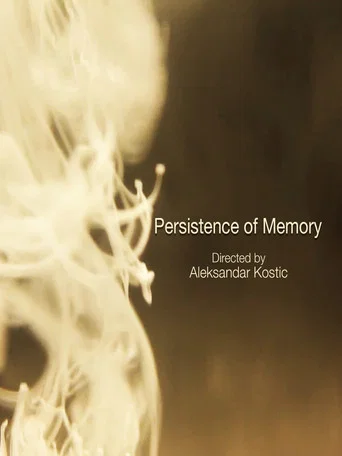 Movie poster for Persistence of Memory (2012)