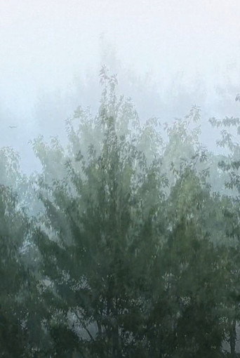Movie poster for Wind (2019)