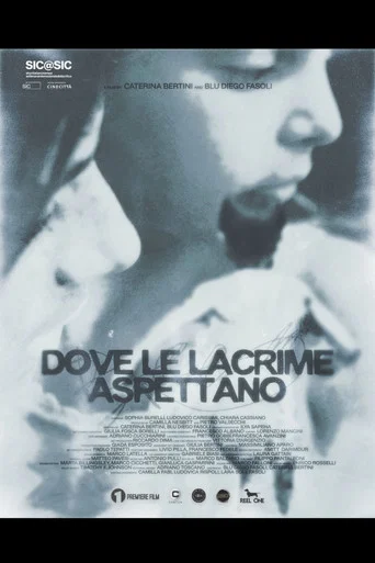 Movie poster for Where The Tears Await