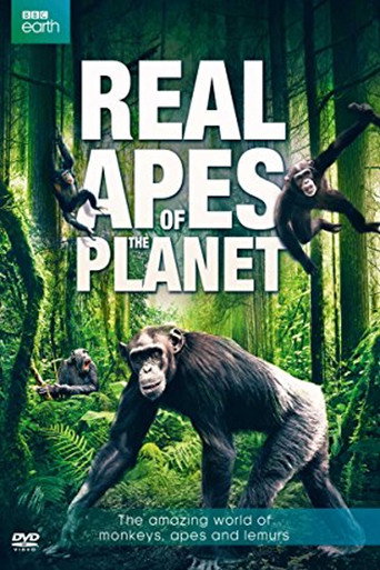 Movie poster for The Real Apes of the Planet (2014)