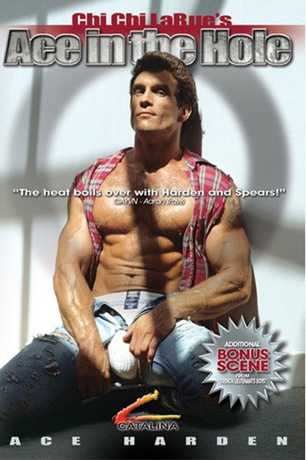 Movie poster for Ace in the Hole (1993)