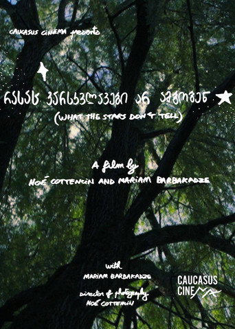 Movie poster for What the Stars Don’t Tell (2025)