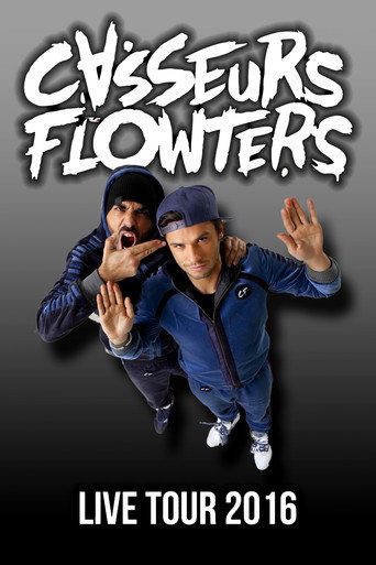 Movie poster for Casseurs Flowters : Live Tour (2016)