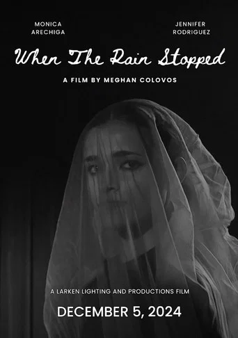 Movie poster for When The Rain Stopped