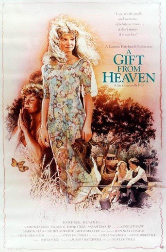 A Gift from Heaven poster