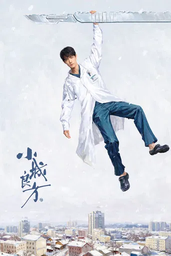 小城良方 poster