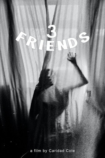 Movie poster for 3 Friends (2015)