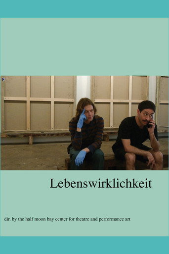 Movie poster for Lebenswirklichkeit (2017)
