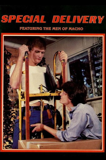 Movie poster for Special Delivery (1978)