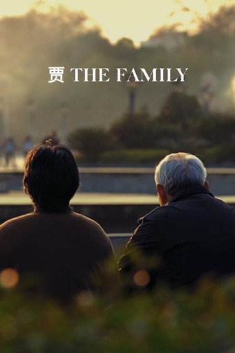 Movie poster for The Family (2015)