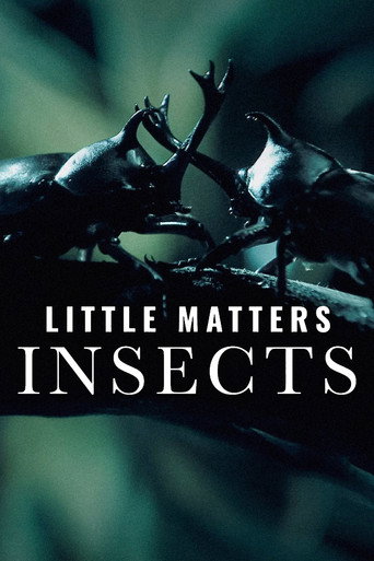 Movie poster for Little Matters: Insects (2015)