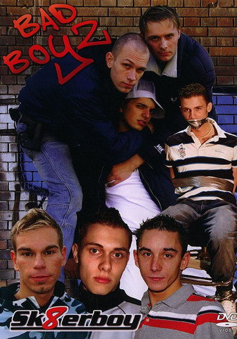 Movie poster for Bad Boyz (2008)