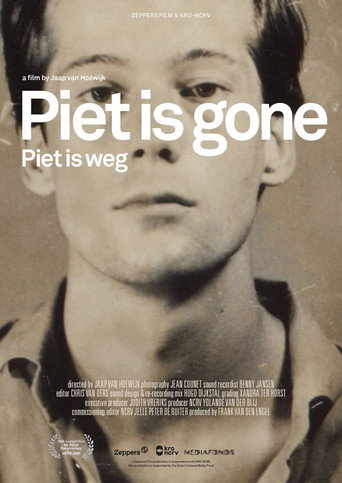 Movie poster for Piet is Gone (2018)