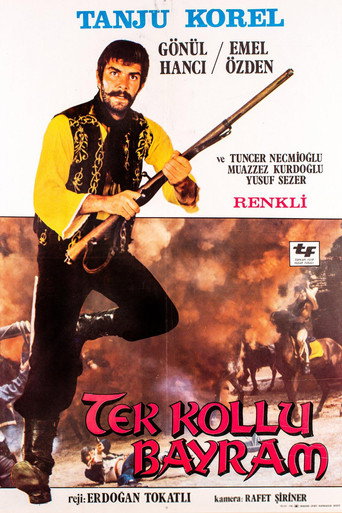 Movie poster for Tek Kollu Bayram (1973)