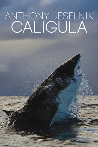 Movie poster for Anthony Jeselnik: Caligula (2013)