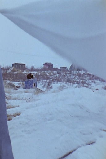 Some Natives of Churchill poster