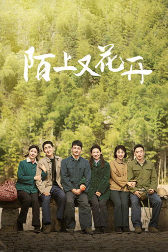 陌上又花开 poster
