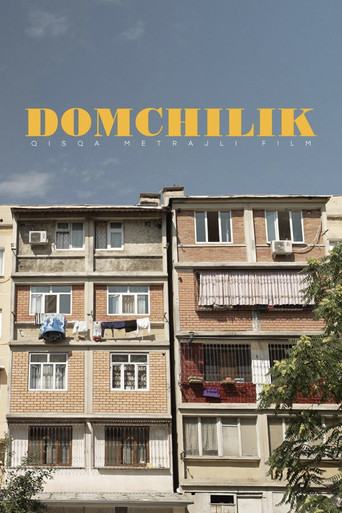 Domchilik poster