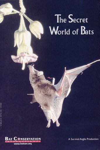 Movie poster for The Secret World Of Bats (1992)