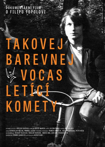 Movie poster for Takovej barevnej vocas letící komety (2015)