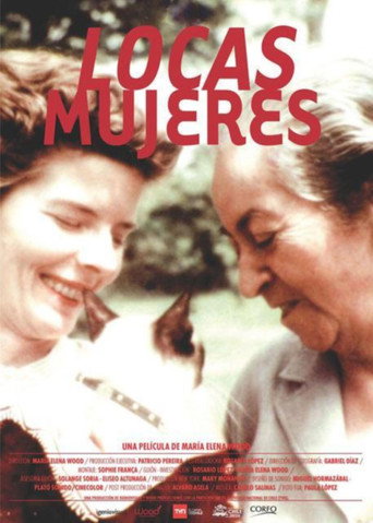 Movie poster for Madwomen (2011)