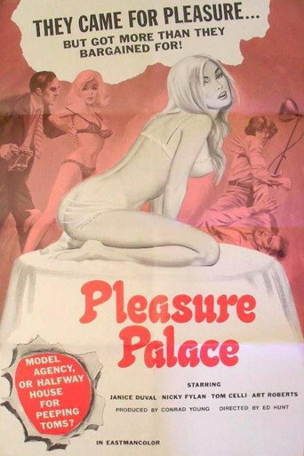 Movie poster for Pleasure Palace (1973)