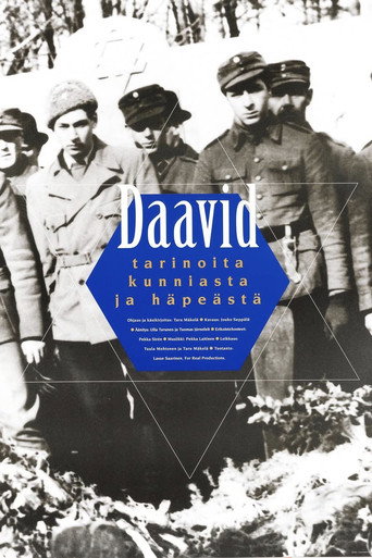 Movie poster for David – Stories of Honour and Shame (1997)