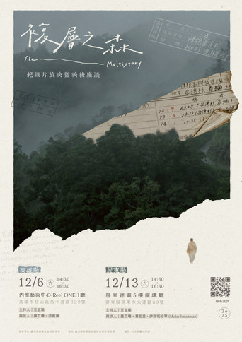 Movie poster for The Multistory (2025)