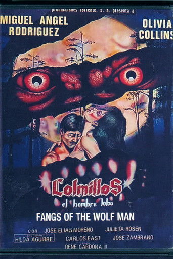 Colmillos, el hombre lobo poster