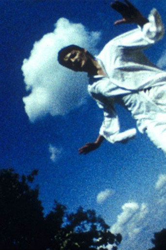 Movie poster for Falling. Desert. Syn (1985)