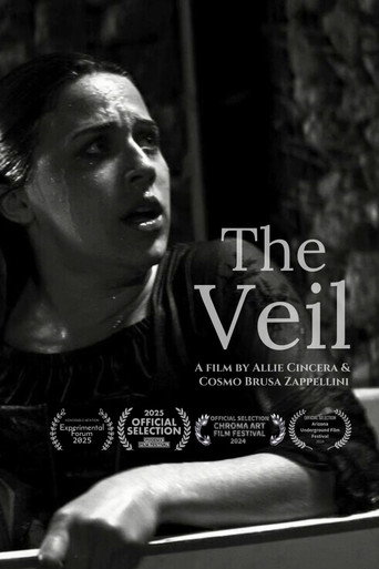 Movie poster for The Veil (2024)