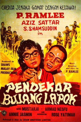 Movie poster for The Three Bachelor Warriors (1959)