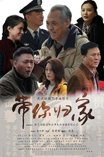 Let Me Take You Home poster