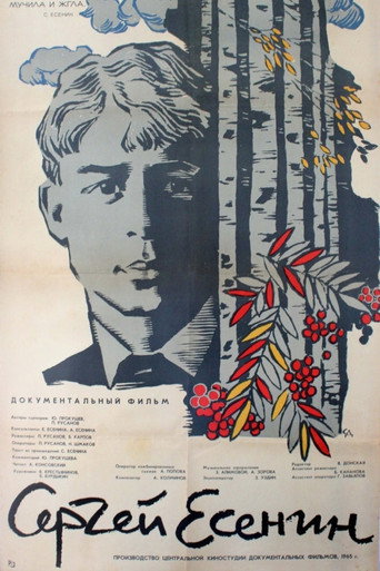 Movie poster for Sergei Yesenin (1965)