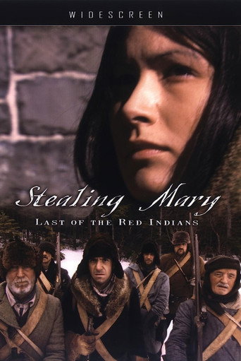Movie poster for Stealing Mary: Last of the Red Indians (2006)
