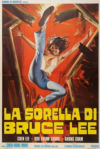 Chiu Chow Kung Fu poster