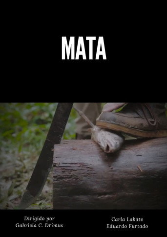 Movie poster for MATA