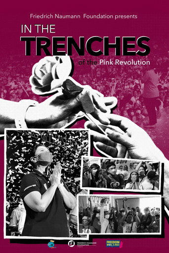 Movie poster for In The Trenches Of The Pink Revolution