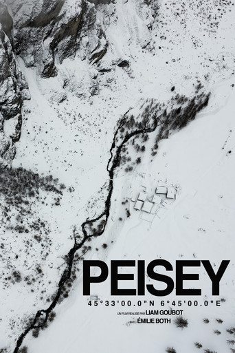 Movie poster for PEISEY (2024)