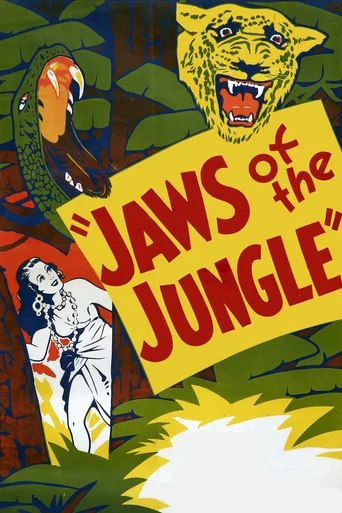 Movie poster for Jaws of the Jungle (1936)