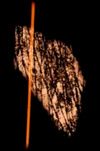 Movie poster for Étude 65 (1965)