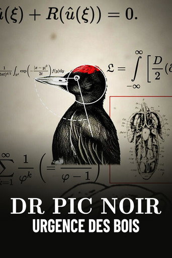 Movie poster for Dr Pic Noir, urgence des bois (2023)