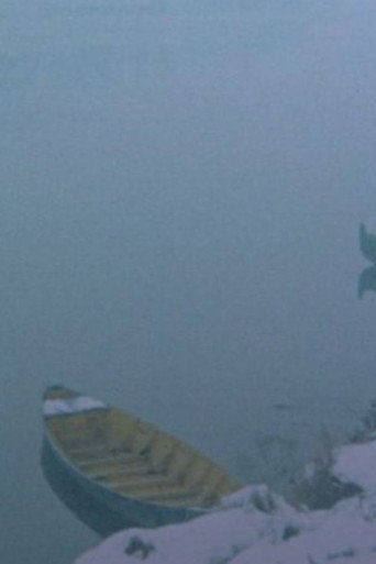 La Grande Adozione di Lodi poster