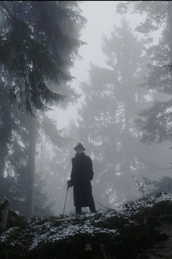 Movie poster for The Raven (2013)
