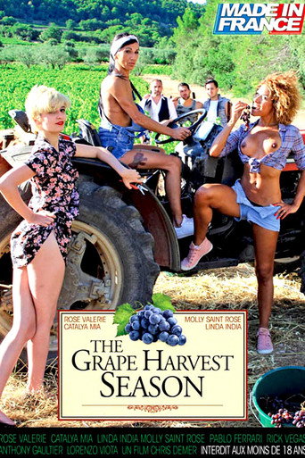Movie poster for The Grape Harvest Season (2017)