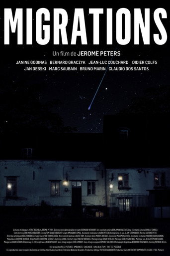 Movie poster for Migrations