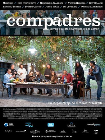 Movie poster for Compadres (2012)